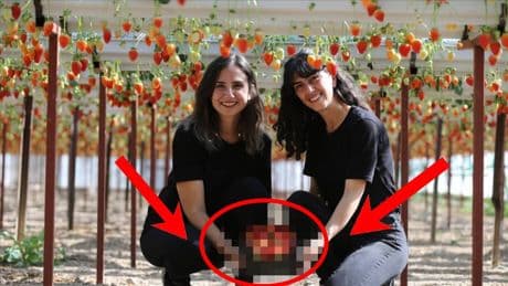 Hayallerinin peşinden koştular mühendislikten üretime atıldılar! Herkes ‘Yapamazsınız’ dedi, onlar yurt dışına kolları sıvadı