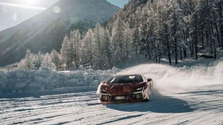 La Lamborghini che pensa alla foca monaca