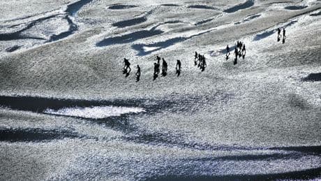 De wereld ten onder? Nee. Alles komt goed? Ook niet