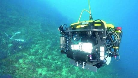 L’IA per capire il mare che cambia: “Cataloghiamo i segreti degli abissi”