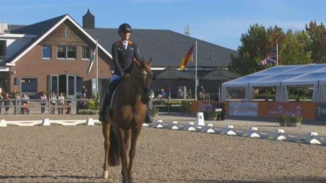 Twee gouden medailles Nederland bij EK paradressuur in Ermelo