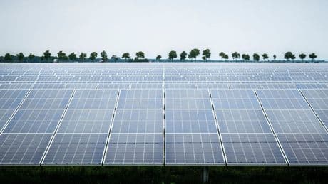 Zonnepanelen hebben een dodelijke aantrekkingskracht op waterinsecten