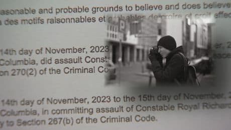 B.C. man with history of protest violence receives 2 years probation for assaulting officer