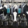 Now woke scientists want to rename World Milk Day 'Bovine Mammary Secretion Day'
