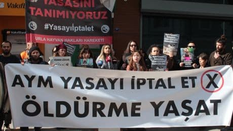 Hayvan hakları savunucuları AYM önünde