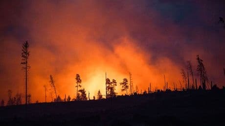 Feuerwehreinsatz: Mehr als 200 Einsatzkräfte bei Waldbrand in Sonneberg