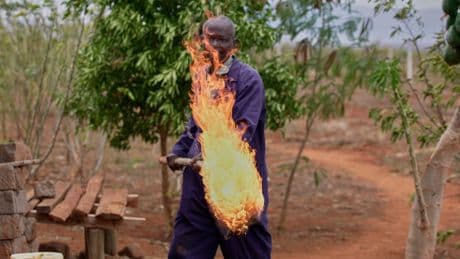 The unusual tactics used by farmers to stop marauding elephants