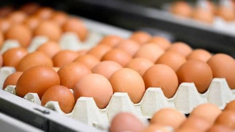 Resmi Gazete'de yayımlandı... Yumurta satışında yeni dönem!