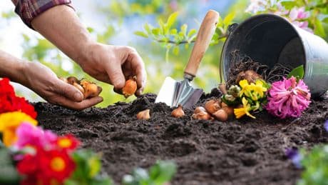 Steuererklärung: So setzen Sie die Gartenarbeit von der Steuer ab
