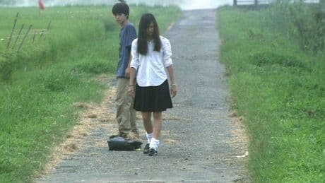 Shunji Iwai, cinéaste de l’adolescence et des vies feutrées