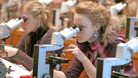 Wenn der NC nicht reicht: Bis zu 175.000 Euro für das Medizinstudium