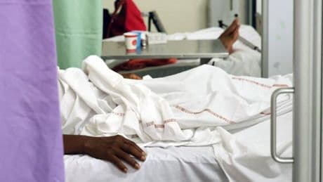 Chikungunya : l’épidémie a tué 15 personnes depuis le début de l’année, selon Santé publique France