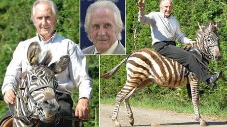 Bill Turner dead at 78: Legendary horse trainer passes after 'freak accident' as his family pay tribute to him who 'was everyone's dad'