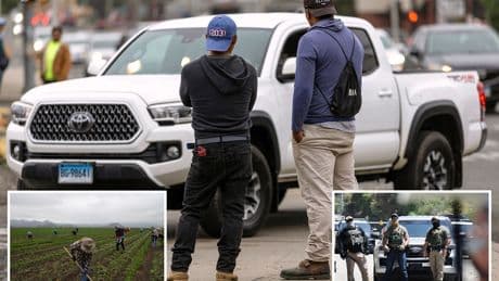 Illegal immigrants not showing up to work for fear of ICE raids: ‘It’s sheer panic’