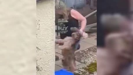 Probe launched after woman filmed dragging dogs by necks in shocking clip