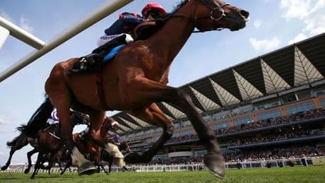ITV Racing expert's Royal Ascot day 1 tips including 10-1 shot after calling 8,000-1 bet