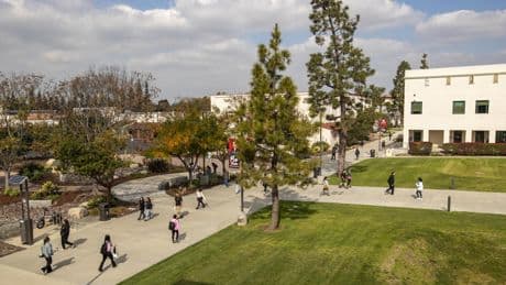 Profane response to an anti-Trump journalist costs Long Beach City College football coach his job
