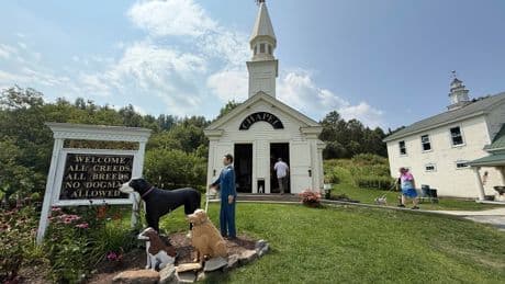 Dog Mountain is the perfect place to celebrate the bond between dogs and their humans
