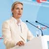 Druck auf CDU/CSU wächst: AfD-Fraktion will für Richter-Kandidaten der Union stimmen