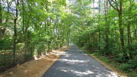 Mystery after woman and young girl found dead metres apart on remote forest path