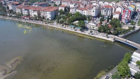 İstanbul'da deniz yeşile büründü! Bölge ciddi risk altında