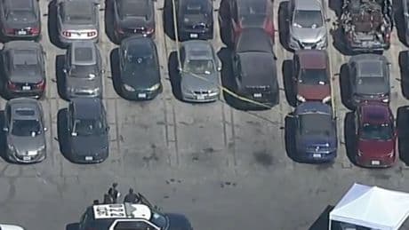 Dismembered body found in singer D4vd’s abandoned Tesla ID’d as teen girl