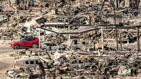 Flächenbrände: 100 Tage nach dem Inferno - ein langer Weg für Los Angeles