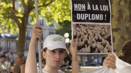 Censure partielle de la loi Duplomb : la FNSEA et la droite s’insurgent, la gauche applaudit
