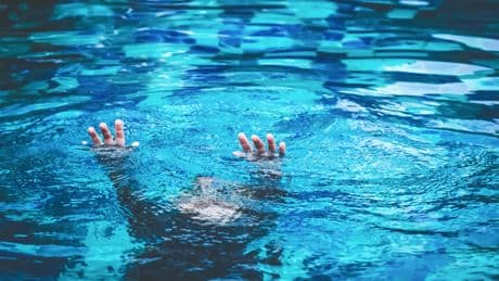Val-de-Marne : deux enfants d'une même famille meurent par noyade dans un parc municipal
