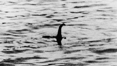 What should a person do if they find Loch Ness Monster?