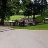 Manhunt launched after schoolboy, eight, is 'sexually assaulted in tent' while camping with his family