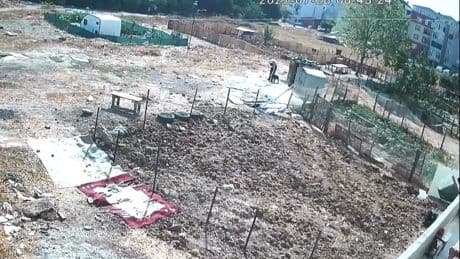 Esenyurt'ta bir köpek işkenceyle öldürüldü iddiası