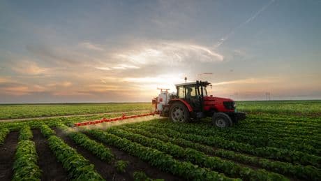 Ambienta compra por más de 200 millones Agronova a Magnum