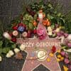'The Osbournes' changed Ozzy's image from grisly to cuddly, and changed reality TV