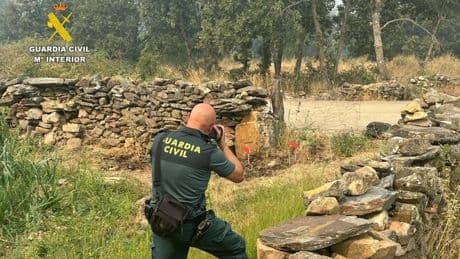 ¿Quién ha provocado los incendios en Castilla y León? Estos son los perfiles de los presuntos autores