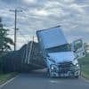 Quelque 250 millions d'abeilles s'échappent d'un camion aux Etats-Unis après un accident de la route