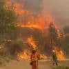 Incendies en Espagne : la colère des sinistrés, alors que le feu n’est toujours pas éteint
