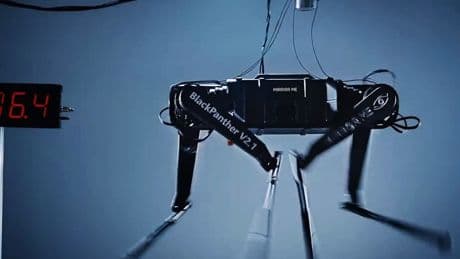 Roboter: Fast so schnell wie Usain Bolt!
