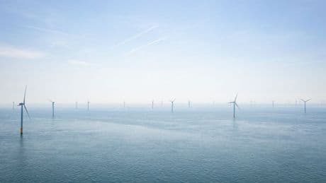 Na de CO2-heffing haalt minister Hermans nog een pijler onder de verduurzaming weg: minder windmolenparken op zee