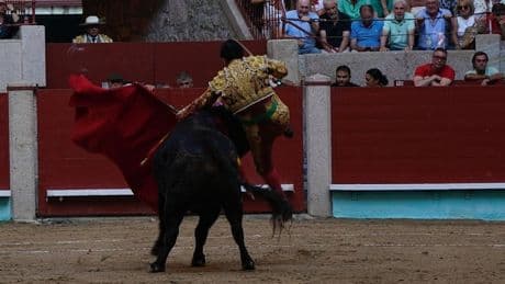 Morante sufre una cornada en Pontevedra