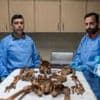 'This will be the work of years': The medics identifying remains from Syria's mass graves