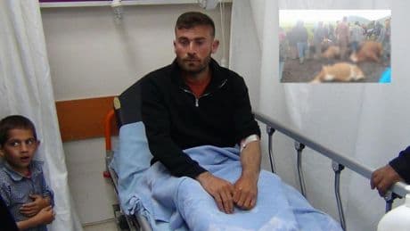 Kars'ta sürünün üzerine yıldırım düştü! 2 çoban yaralandı, çok sayıda hayvan öldü