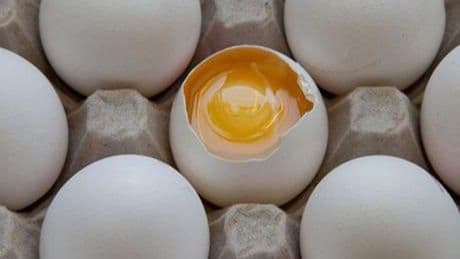 Çatlamış yumurta en tehlikelisi! Rafa asla değdirmeyin, sonu kötü bitiyor