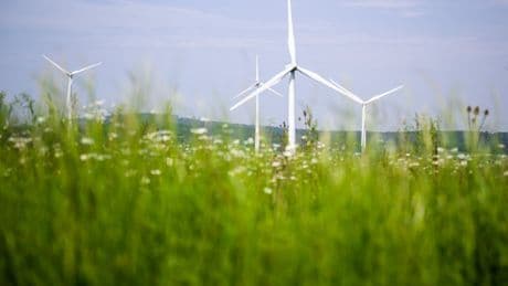 Mehr als eine halbe Milliarde Euro Entschädigung für nicht genutzten Ökostrom