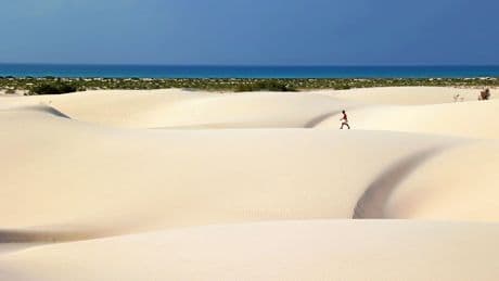 Indischer Ozean | Sokotra: Die Insel der Glückseligkeit