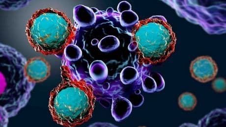 Sla, scoperta a Torino: proteine nel sangue permettono diagnosi precoce e nuove possibilità di cura