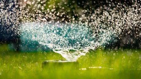 Trockenheit: Rasen richtig bewässern: Warum die Regendusche sinnvoll und wichtig ist