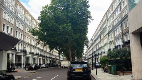 London street looks 'normal' until you spot tiny detail with unexpected twist