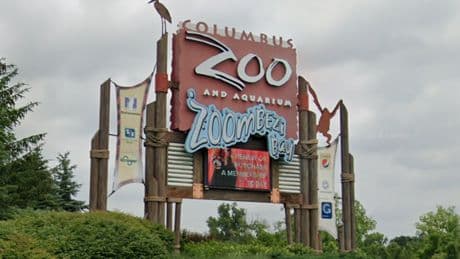 Ohio zoo gets catty and sues town over new $1 tax on memberships