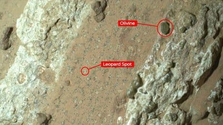 Marte, c'è stata la vita? Ecco perché le biofirme di Cheyava Falls sono gli indizi più importanti mai raccolti